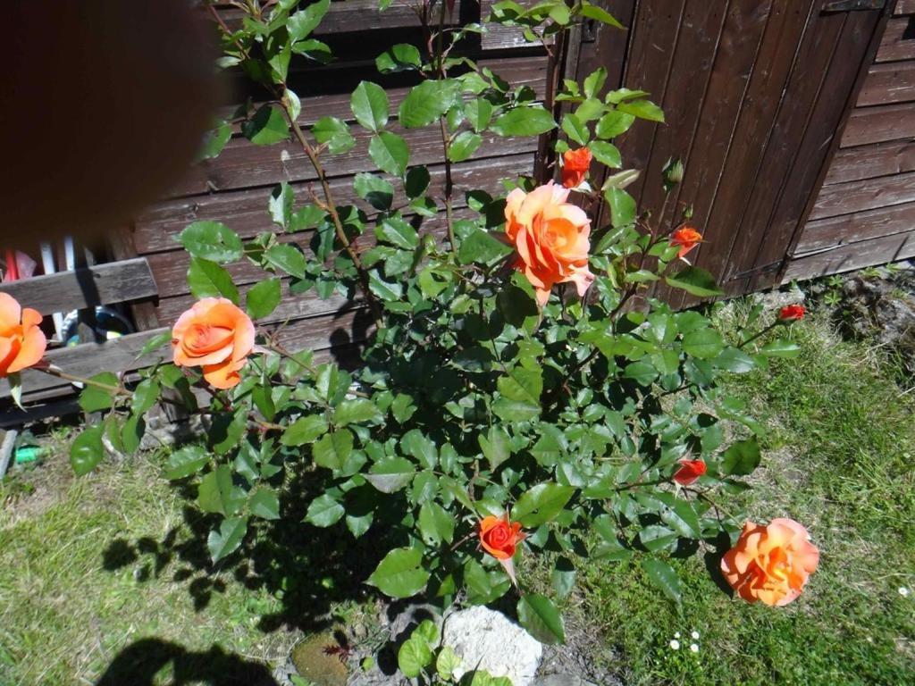 Chez Mamie Et Papi Bed and Breakfast Puynormand Esterno foto
